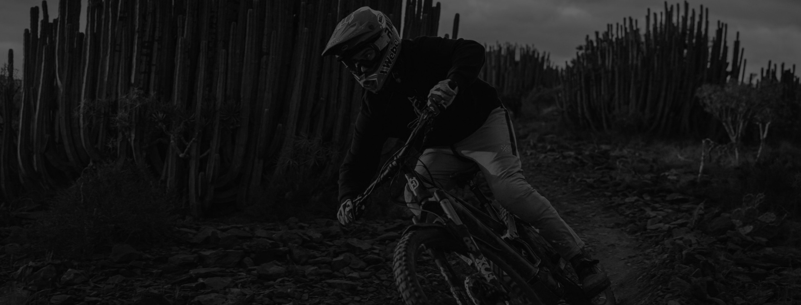 HUSQVARNA